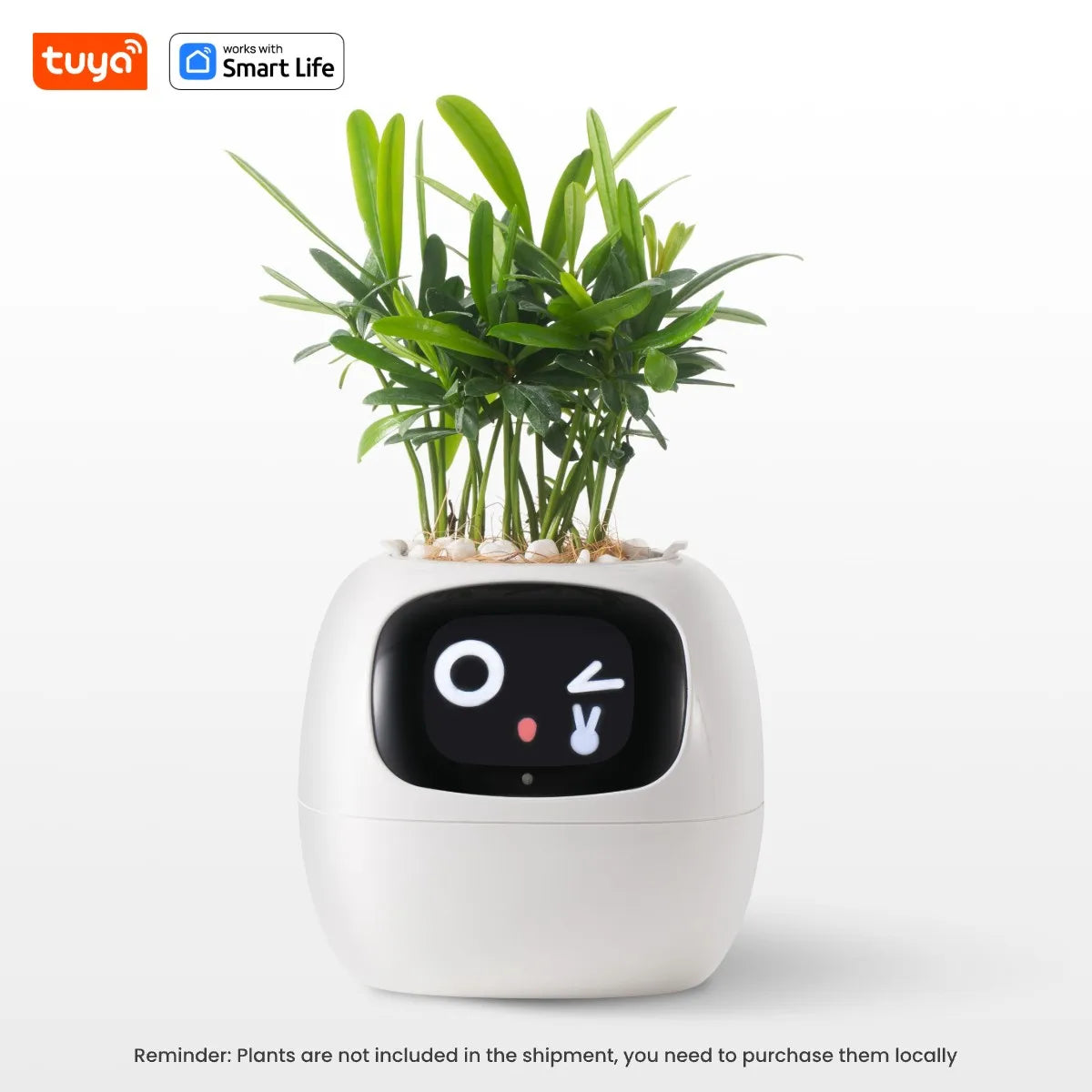 Greenly Smart Planter™