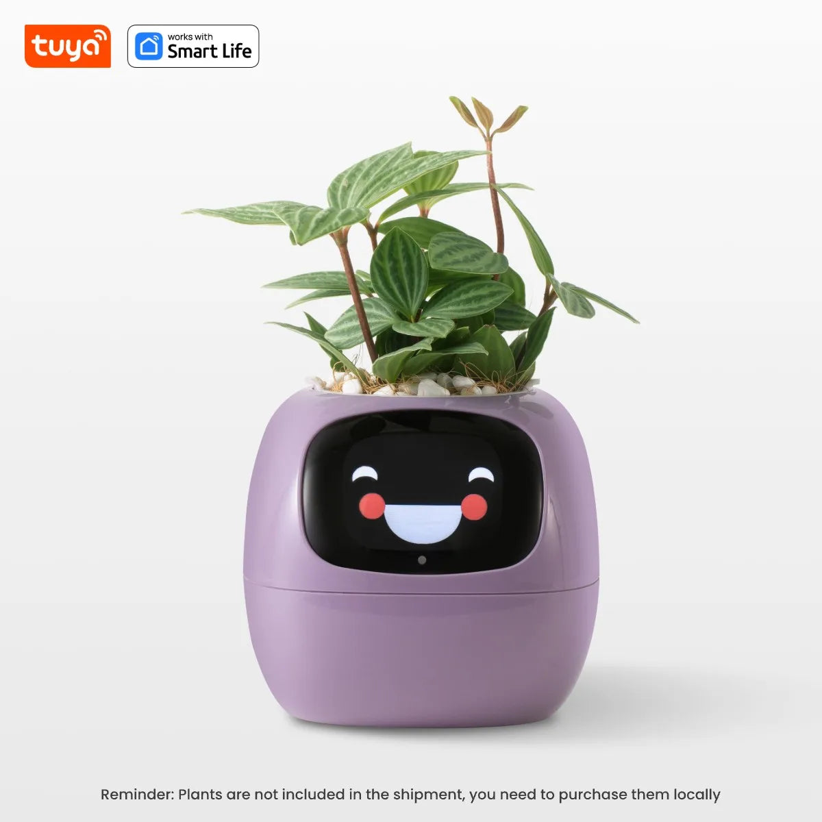Greenly Smart Planter™